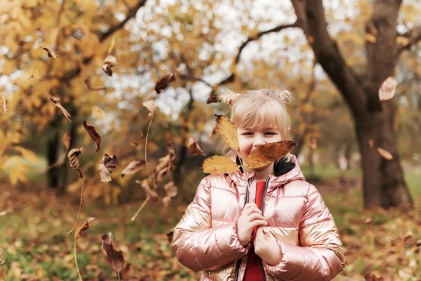 Helpful Tips for Healthy Smiles at Halloween